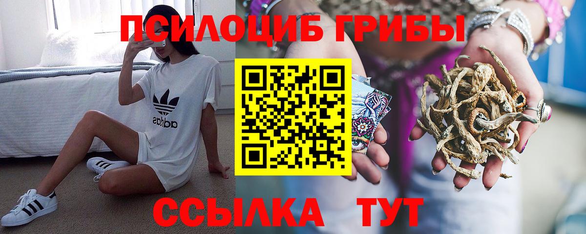 Галлюциногенные грибы MAGIC MUSHROOMS  наркотики  Людиново  Вход с VPN  Псилоцибиновые грибы Psilocybine cubensis 